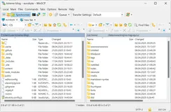 winscp-sync